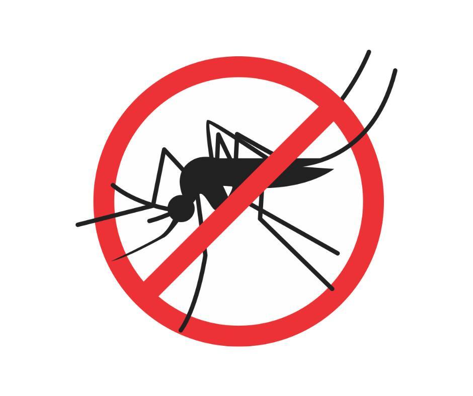 Започва обработка срещу комари около водни обекти на обществени места в Благоевград