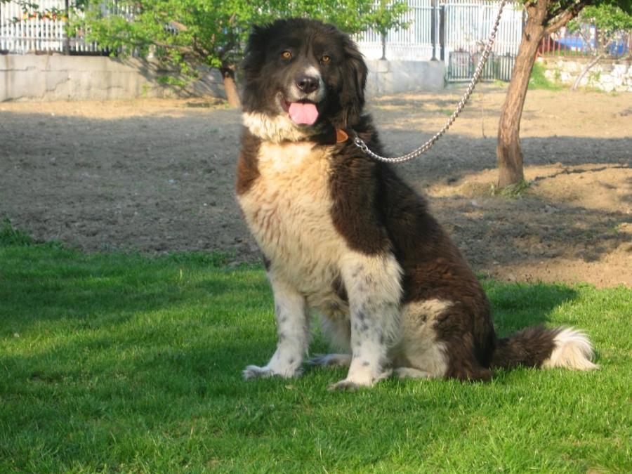 news-single-main-image